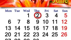 Lavoro, la settimana corta piace ma non convince: ecco perché