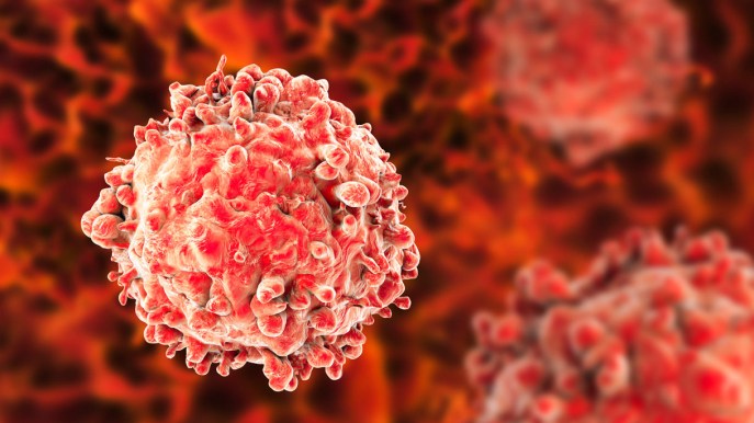 Cancro, la terapia Car-T funziona. “E’ il farmaco della vita”