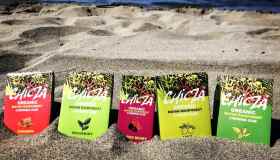 Dal Messico il chewing-gum biodegradabile che cercavi