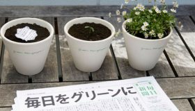 Ora anche leggere il giornale diventa ecologico