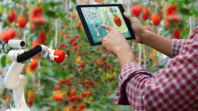 Agrifood, il PAC tra presente e futuro: gli obiettivi chiave