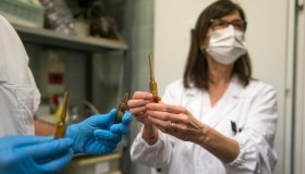 Da pandemia a endemia, cosa cambia: “Fondamentali antivirali e monoclonali”