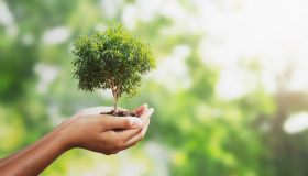 Cos’è l’economia sostenibile e perché è importante