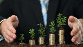 Biodinamica: cos’è e perché se ne sta parlando tanto dopo il DDL agricoltura biologica