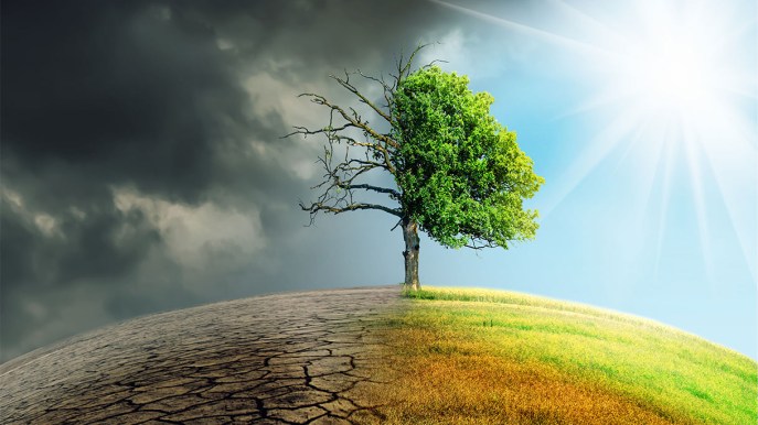 Cos’è il cambiamento climatico e come rimediare