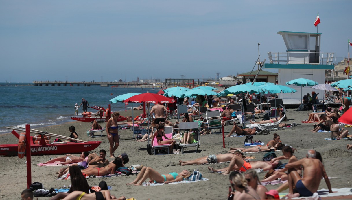 Allarme meduse nei mari italiani: le zone più colpite