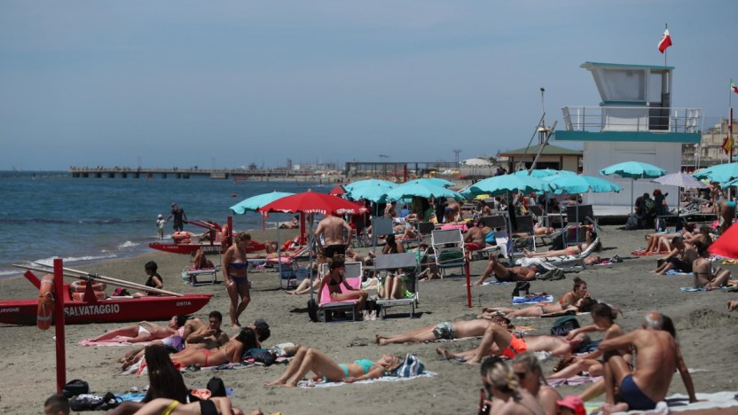 Allarme meduse nei mari italiani: le zone più colpite