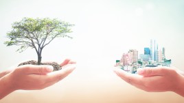 Cos’è la Valutazione di Impatto Ambientale e quando serve