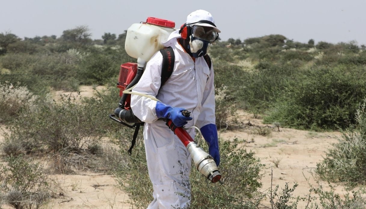 Com’è la situazione nei due Paesi al mondo che hanno rifiutato il vaccino