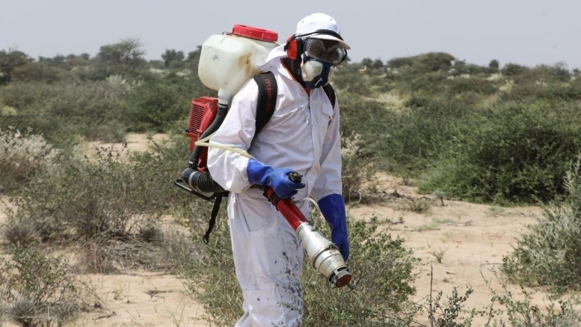 Com’è la situazione nei due Paesi al mondo che hanno rifiutato il vaccino