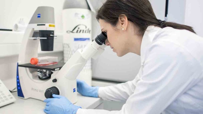 “Nel 2070 gli uomini non saranno più fertili”. L’allarme degli andrologi