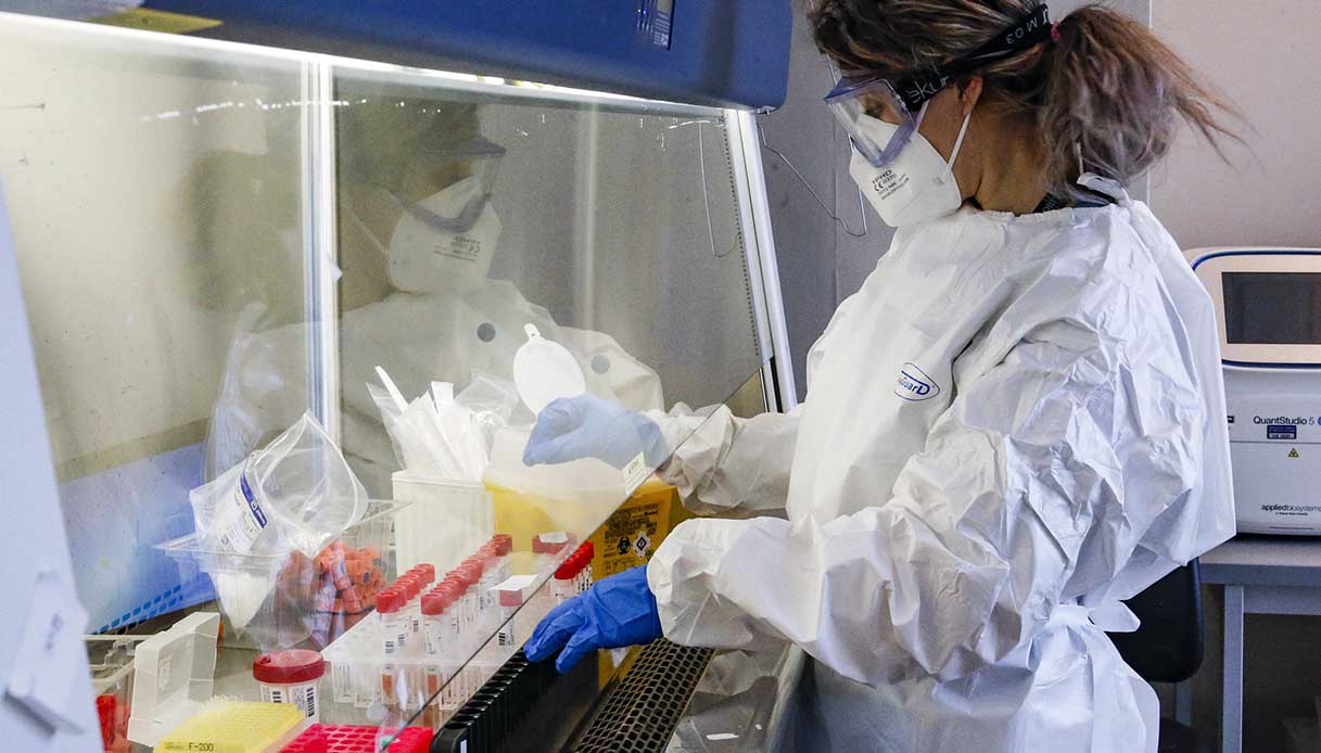 Omicron 2, spunta la sotto-variante: cosa sappiamo