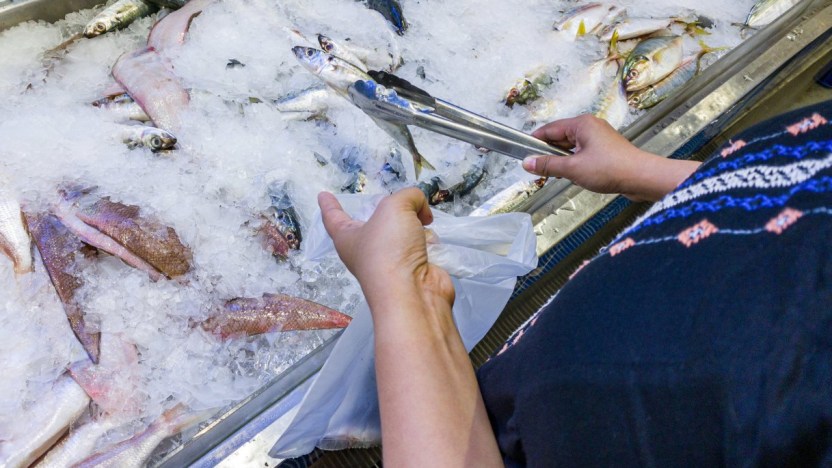 Allerta pesce fresco in Italia: cosa succede e cosa sapere