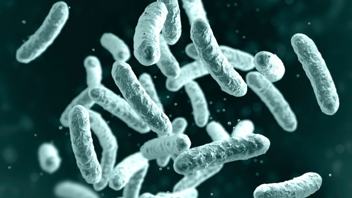 Ricavare elettricità dai batteri? Ora si può: ecco come