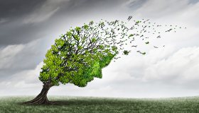 E ora rischiamo di ammalarci di eco ansia: cos’è e come evitarla