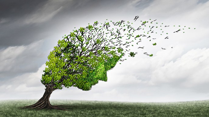 E ora rischiamo di ammalarci di eco ansia: cos’è e come evitarla