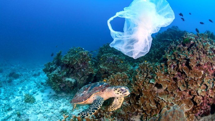 Il primo “fishing for litter” italiano: così si pescano i rifiuti