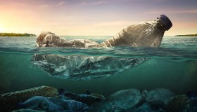 Un mese di luglio senza plastica: ecco come e perché