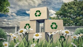 Italia campione d’Europa per raccolta e riciclo di carta e cartone