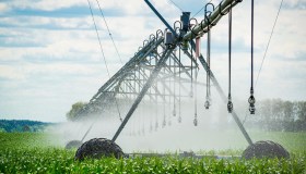 Siccità e agricoltura, soluzioni smart per ridurre consumi e costi