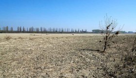 Siccità, situazione sempre più grave nel deserto Italia