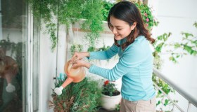 Urban Farming e Urban Gardening: l’agricoltura entra in città