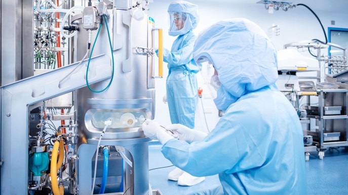 Cos’è il virus di Marburg che spaventa il mondo