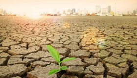 Siccità, il 13% dell’Europa è a rischio desertificazione: le Regioni italiane messe peggio