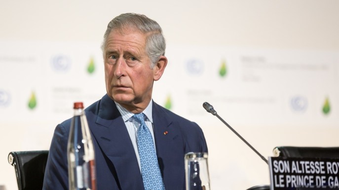 Carlo III green, l’ambientalismo illuminato del Re nonostante l’assenza a Cop27