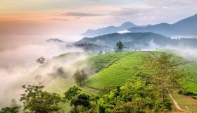 Captanieblas, catturare la nebbia per far crescere la vegetazione