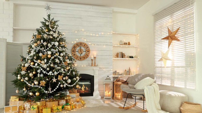 Alberi di natale, quali sono quelli più sostenibili?