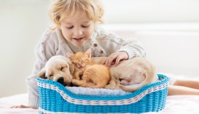 Animali domestici, arriva il bonus fino a 900 euro l’anno: a chi spetta