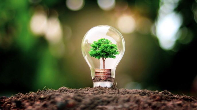 Come scegliere un fornitore di luce e gas che utilizza fonti rinnovabili