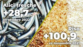 Aumento dei prezzi dei prodotti alimentari, i rincari di novembre 2022