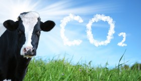 Gas: arriva il primo carburante dalla mucca alla pompa