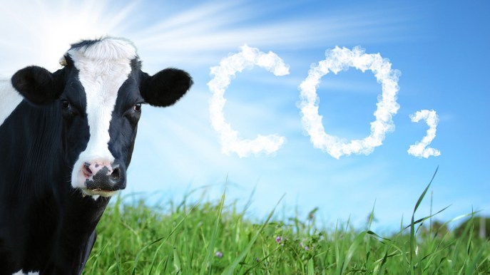 Gas: arriva il primo carburante dalla mucca alla pompa