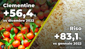 Aumento dei prezzi dei prodotti alimentari, i rincari di gennaio 2023