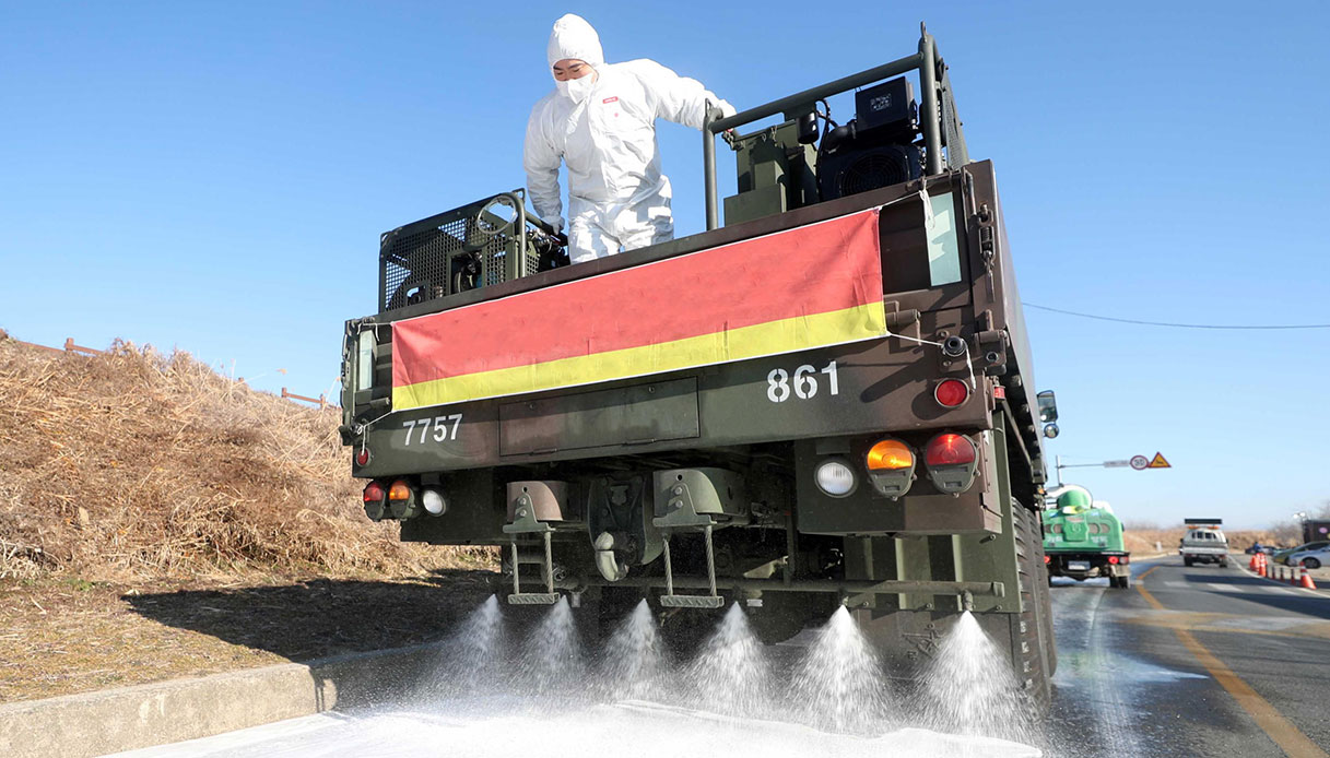 Allarme aviaria, rischiamo una nuova pandemia: l’avvertimento dell’Oms