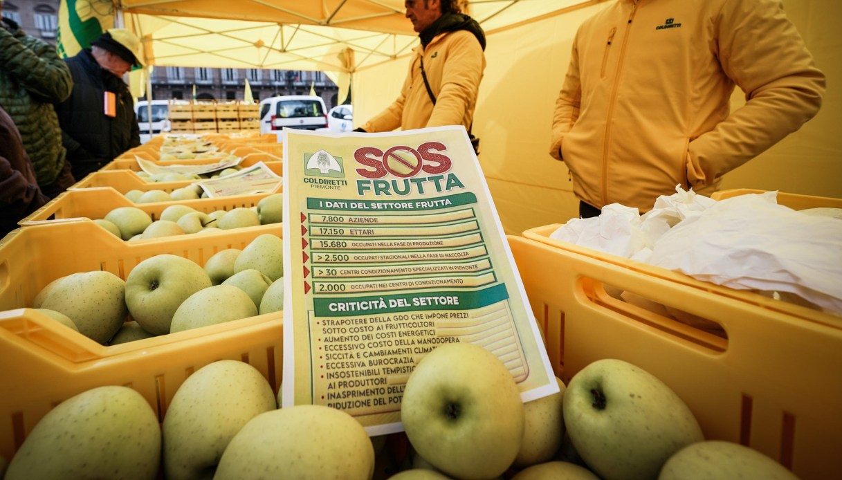 Clima pazzo, in Italia è allarme agricoltura: cosa sta succedendo e quali rischi