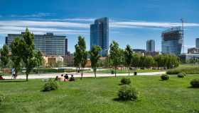 Pnrr, quei milioni di alberi mai piantati