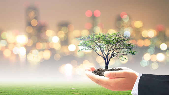 BCorp, cosa vuol dire essere una Benefit Corporation e come diventarlo