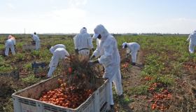 Click day per 82mila lavoratori: le regole