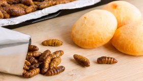 Arriva l’etichetta sui cibi con gli insetti: come funziona