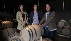 Vino, italiana la migliore cantina al mondo: è la prima volta