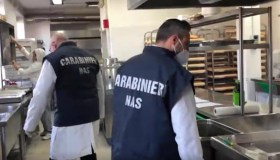 Ecco gli ospedali in cui hanno trovato blatte ed escrementi di topi