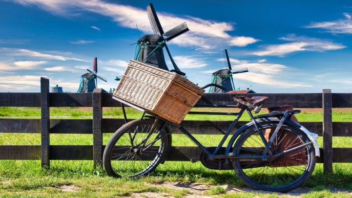 Come e perché praticare l’ecoturismo (evitando il greenwashing)