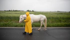 Dal Chianti al melone Igp: cosa si è perso con l’alluvione