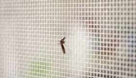 Bonus zanzariere anche per il 2023: come ottenerlo