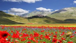 Turismo sostenibile, 10 mete in Italia e nel mondo