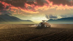 Dalla fattoria alla forchetta, la strategia Ue per il cibo